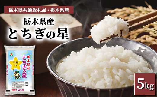 栃木県産とちぎの星 5kg【栃木県共通返礼品・栃木県産】◆　※2025年10月中旬頃より順次発送予定