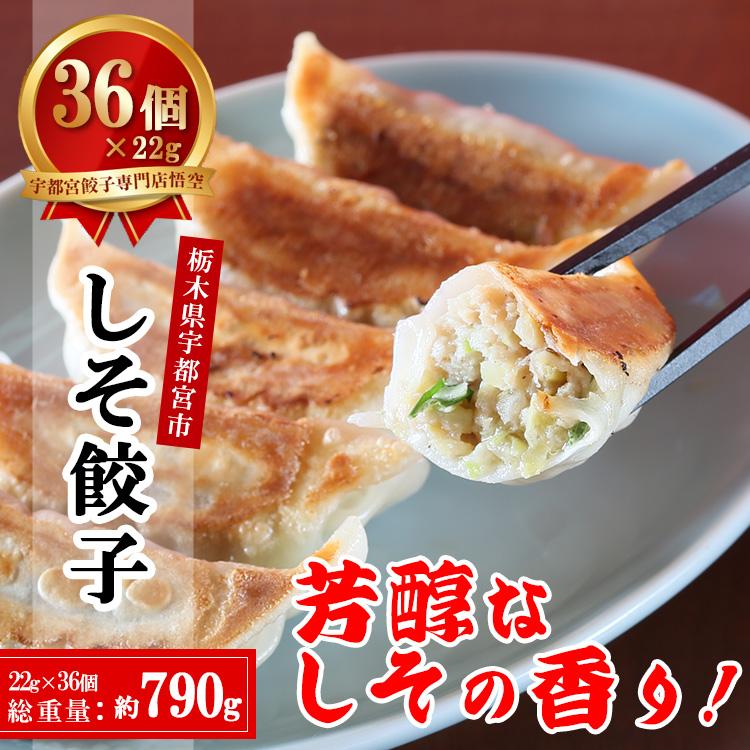 餃子専門店 宇都宮 悟空 しそ餃子 22g×36個入｜ 餃子 冷凍 ぎょうざ ギョーザ 紫蘇 シソ 肉たっぷり 肉多め 人気 名物 行列 国産野菜 国産豚肉 ジューシー スタミナ パリパリ もちもち グルメ おかず おつまみ 栃木県 宇都宮市  簡単 小分け 冷凍食品 ※離島への配送不可