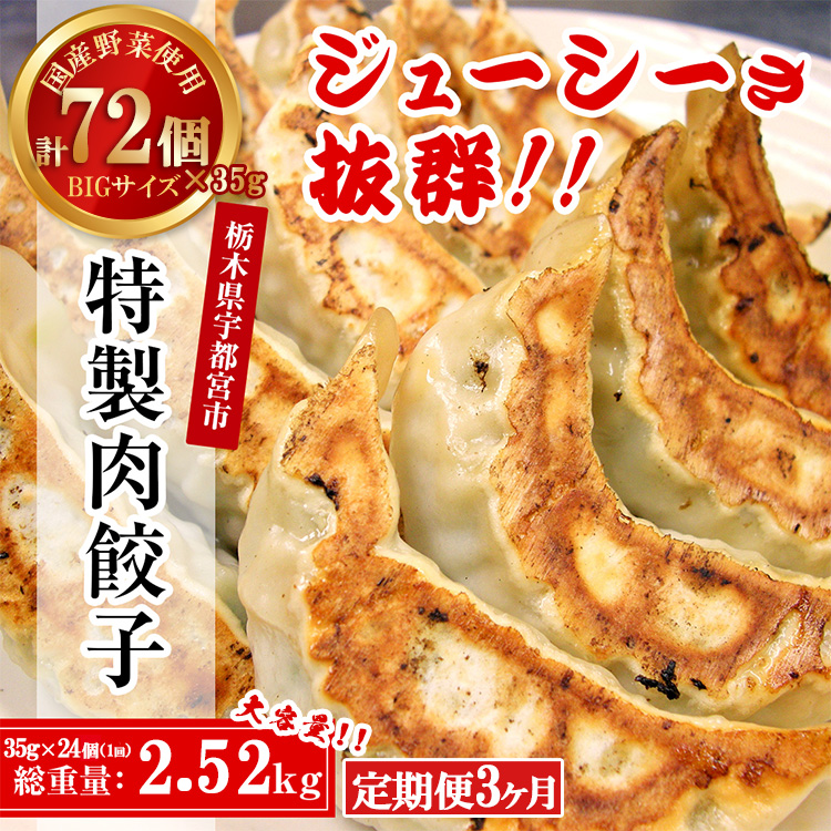 【3ヶ月定期便】テレビで紹介！餃子専門店 宇都宮 悟空 特製肉餃子24個入×3ヶ月 | 餃子 冷凍 ぎょうざ ギョーザ 大容量 肉たっぷり 肉多め 大きい 人気 名物 行列 国産野菜 国産豚肉 ジューシー スタミナ パリパリ もちもち グルメ おかず おつまみ 栃木県 宇都宮市 簡単 小分け 冷凍食品 ※離島への配送不可