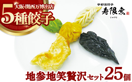 地参地笑贅沢セット 5種25個｜ぎょうざ ギョウザ ギョーザ 冷凍食品 冷凍餃子 惣菜 夜ご飯 おかず おつまみ 手軽 時短 お取り寄せ グルメ