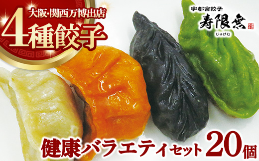 健康バラエティセット 4種20個｜ぎょうざ ギョウザ ギョーザ 冷凍食品 冷凍餃子 惣菜 夜ご飯 おかず おつまみ 手軽 時短 お取り寄せ グルメ