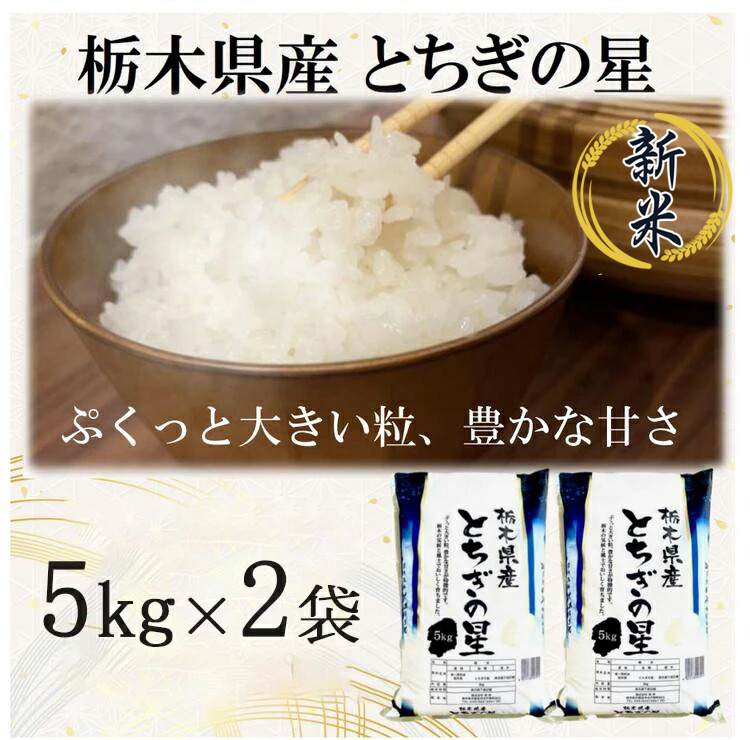 【令和7年産】栃木県産とちぎの星 （精米）5kg×2袋 ｜ お米 白米 一等米 送料無料 栃木県 宇都宮市　※離島への配送不可