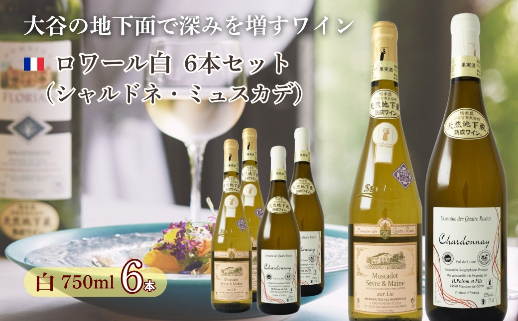 大谷の天然地下蔵で深みを増すワイン ロワール(シャルドネ・ミュスカデ)白 6本セット ｜ 白ワイン 飲み比べ ギフト 栃木県 宇都宮市 ※離島への配送不可