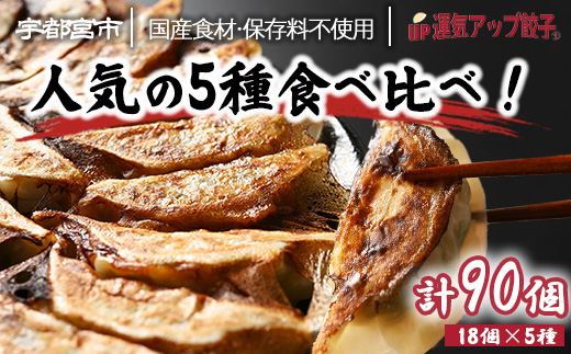 宇都宮餃子 運気アップ餃子  5種類味比べ(合計90個)【 餃子 食べ比べセット 冷凍餃子 冷凍食品 惣菜 栃木県 宇都宮市 】※配送不可地域：離島