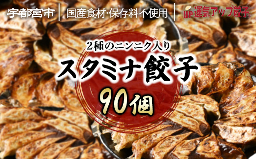 宇都宮餃子 運気アップ餃子  ニンニクマシマシ スタミナ餃子 90個 保存料不使用【冷凍餃子 ぎょうざ ギョウザ にんにく 冷凍食品 惣菜 栃木県 宇都宮市 】※配送不可地域：離島