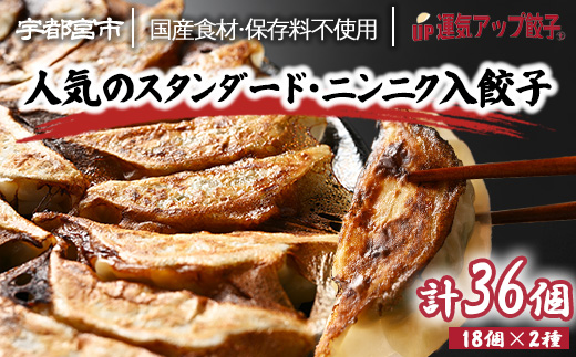 宇都宮餃子 運気アップ餃子  2種類味比べ(合計36個)【餃子 ぎょうざ ギョウザ 食べ比べセット 冷凍餃子 冷凍食品 惣菜 栃木県 宇都宮市 】※配送不可地域：離島