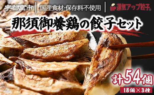 宇都宮餃子 運気アップ餃子  鶏餃子 3種類味比べ(合計54個)【 餃子 食べ比べセット 冷凍餃子 冷凍食品 惣菜 栃木県 宇都宮市 】※配送不可地域：離島