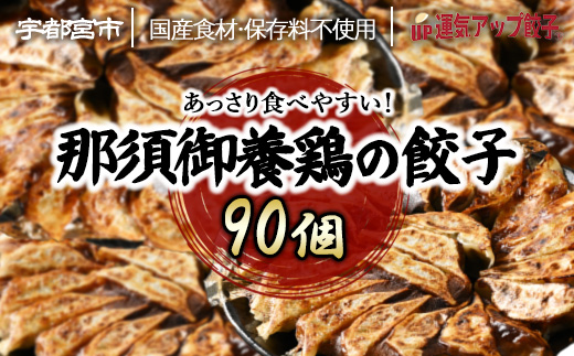 宇都宮餃子 運気アップ餃子  那須御養鶏の餃子 90個 保存料不使用【 餃子 ぎょうざ 冷凍餃子 冷凍食品 惣菜 栃木県 宇都宮市 】※配送不可地域：離島
