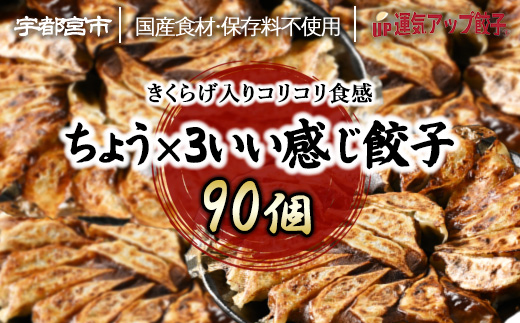 宇都宮餃子 運気アップ餃子  ちょう×3いい感じ餃子 90個 保存料不使用【 餃子 ぎょうざ 冷凍餃子 冷凍食品 惣菜 栃木県 宇都宮市 】※配送不可地域：離島