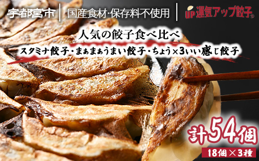 宇都宮餃子 運気アップ餃子  豚餃子 3種類(合計54個)【 餃子 食べ比べセット 冷凍餃子 冷凍食品 惣菜 栃木県 宇都宮市 】※配送不可地域：離島