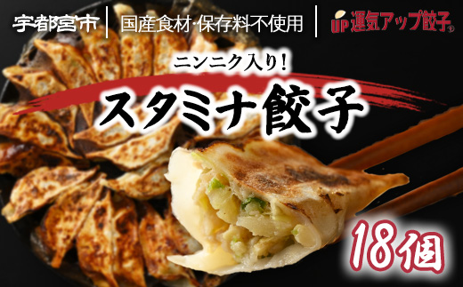 宇都宮餃子 運気アップ餃子 ニンニクマシマシ スタミナ餃子 18個 保存料不使用【冷凍餃子 ぎょうざ ギョウザ 冷凍食品 惣菜 栃木県 宇都宮市 】※配送不可地域：離島