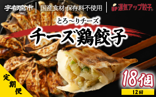 【定期便12回】宇都宮餃子 運気アップ餃子 チーズ鶏餃子（18個×12回　合計216個）【配送不可地域：離島】