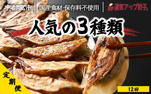 【定期便12回】宇都宮餃子 運気アップ餃子 豚餃子3種類　(54個×12回　合計648個)【配送不可地域：離島】