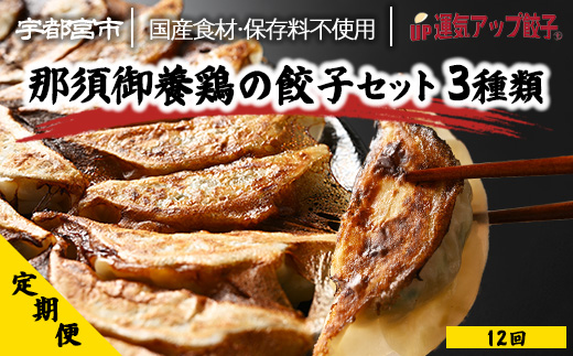 【定期便12回】 鶏餃子3種類味比べ(54個×12回　合計648個)【配送不可地域：離島】