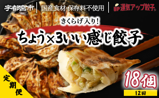 【定期便12回】宇都宮餃子 運気アップ餃子 ちょう×3いい感じ餃子（18個×12回　合計216個）【配送不可地域：離島】