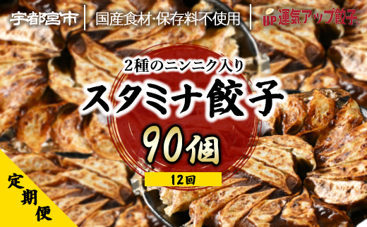 【定期便12回】宇都宮餃子 運気アップ餃子 ニンニクマシマシスタミナ餃子　（90個×12回　合計1,080個）【配送不可地域：離島】