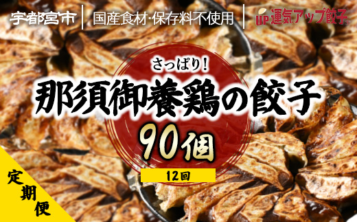 【定期便12回】宇都宮餃子 運気アップ餃子 那須御養鶏の餃子（90個×12回　合計1,080個）【配送不可地域：離島】