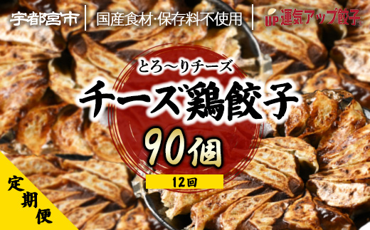 【定期便12回】 チーズ鶏餃子 （90個×12回　合計1,080個）【配送不可地域：離島】