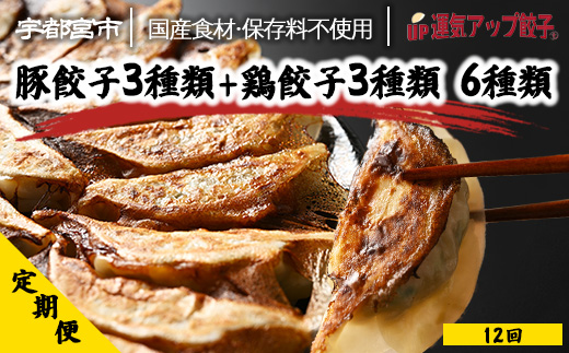 【定期便12回】宇都宮餃子 運気アップ餃子 6種類味比べ(108個×12回　合計1,296個)【配送不可地域：離島】