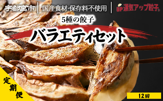 【定期便12回】宇都宮餃子 運気アップ餃子 5種類味比べ（90個×12回　合計1,080個）【配送不可地域：離島】