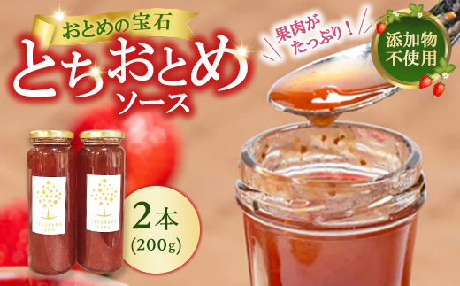 いちごソース 2本 ｜ 無添加 ギフト 国産 栃木県 宇都宮市