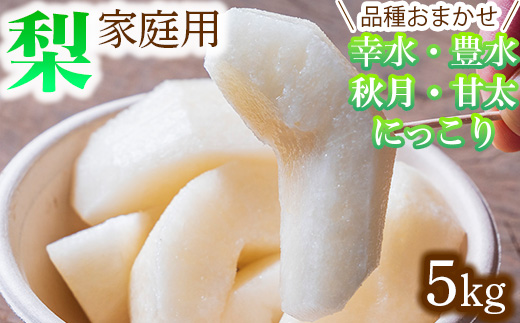 【家庭用】品種おまかせ 梨 5kg 幸水 豊水 秋月 甘太 にっこり｜ 栃木県産 果物 フルーツ　※離島への配送不可