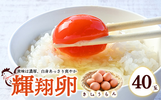 黄身は濃厚、白身あっさり爽やか こだわり卵【輝翔卵】40玉 ※着日指定不可 ※離島への配送不可