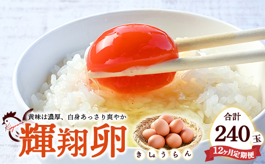 【定期便 12ヶ月】黄身は濃厚、白身あっさり爽やかこだわり卵【輝翔卵】20玉らくらく定期便 ※着日指定不可 ※離島への配送不可