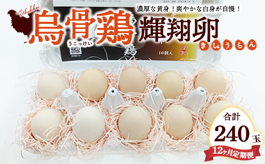 【定期便12ヶ月】烏骨鶏　濃厚な黄身！爽やかな白身が自慢！【烏骨鶏輝翔卵】20玉らくらく定期便 ◇ ※離島への配送不可