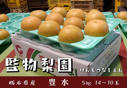 栃木県産 梨【豊水】5kg（14~10玉） ※2025年9月上旬～9月中旬頃に順次発送予定 ※離島への配送不可