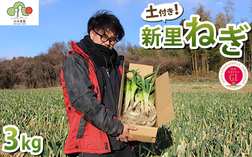 【GI産品】『新里ねぎ』 GIマーク取得のブランド伝統野菜 土付き 3kg