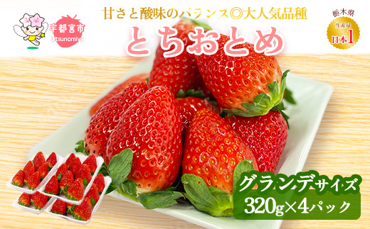 【先行予約】とちおとめ ご家庭用 320g×4パック 約1.2kg グランデサイズ いちご 苺 イチゴ フルーツ 果物 国産 新鮮 ※離島への配送不可 ※2026年1月中旬～4月中旬頃に順次発送予定