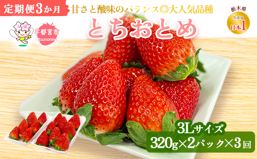 いちご3か月定期便＞栃木県産とちおとめ320g×2パック 3Lサイズ 3回｜栃木県 宇都宮市 いちご 苺 とちおとめ イチゴ フルーツ 果物 新鮮  平積み 甘い 糖度 旬 産地直送 2025年1月 2月 3月 ※2025年1月中旬より順次発送予定 ※離島への配送不可: 宇都宮市ANAのふるさと納税