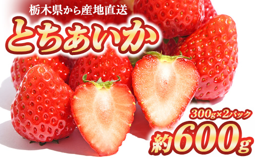 とちあいか 300g×2パック ｜ いちご 栃木 甘い 糖度 旬 新鮮 フルーツ 果物 アレンジ スイーツ いちごジャム フルーツサンド ※2025年12月下旬～2026年3月下旬頃に順次発送予定 ※北海道・沖縄・離島への配送不可