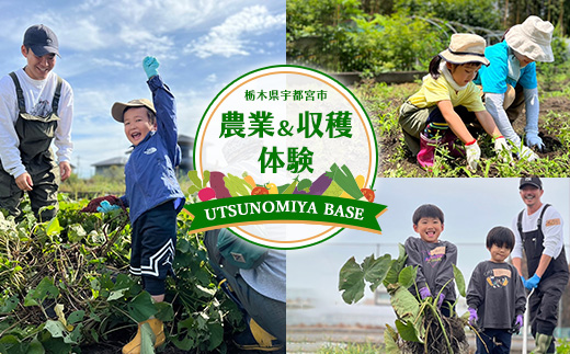 UTSUNOMIYA BASE農業、収穫体験