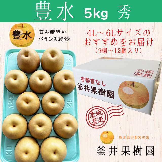 豊水 5kg 9～12玉 ｜ 栃木県産 宇都宮市 梨 なし 豊水 フルーツ 果物 ※離島への配送不可 ※2025年9月上旬頃より順次発送予定