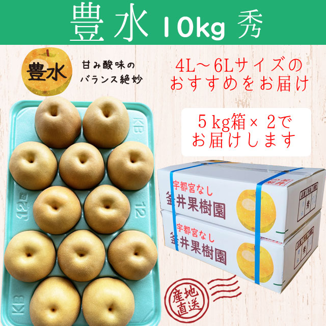 豊水 10kg 18～24玉 ｜ 栃木県産 宇都宮市 梨 なし 豊水 フルーツ 果物 ※離島への配送不可 ※2025年9月上旬頃より順次発送予定