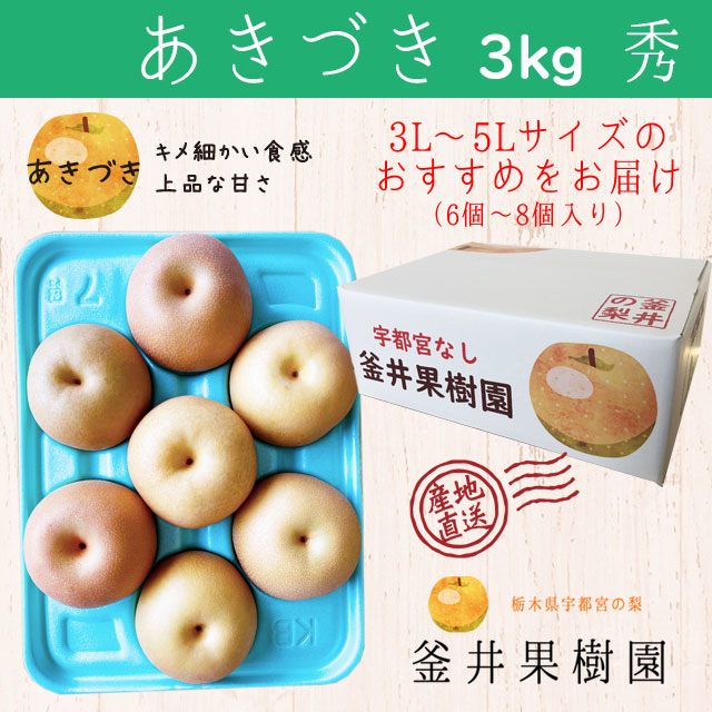 あきづき 3kg 6～8玉 ｜ 栃木県産 宇都宮市 梨 なし あきづき フルーツ 果物 ※離島への配送不可 ※2025年9月中旬頃より順次発送予定
