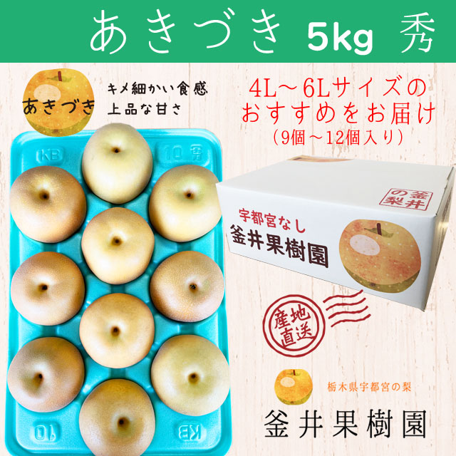 あきづき 5kg 9～12玉 ｜ 栃木県産 宇都宮市 梨 なし あきづき フルーツ 果物 ※離島への配送不可 ※2025年9月中旬頃より順次発送予定