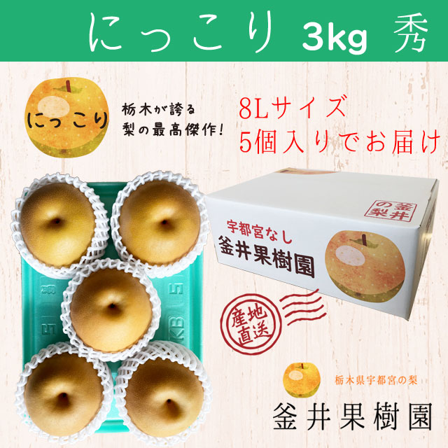 にっこり 3kg 5玉 ｜ 栃木県産 宇都宮市 梨 なし にっこり フルーツ 果物 ※離島への配送不可 ※2025年10月上旬頃より順次発送予定