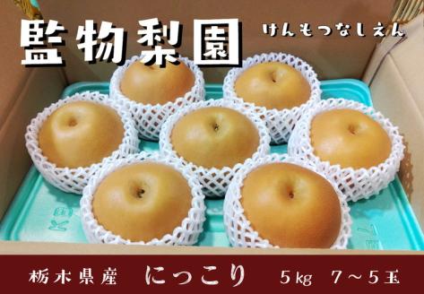 【先行予約】栃木県産　大玉の梨【にっこり】5kg サイズ：7～5玉 ※北海道・沖縄・離島への配送不可 ※2025年10月下旬～11月下旬頃に順次発送予定