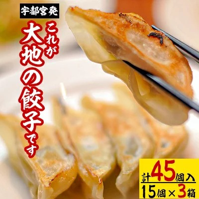 宇都宮発　これが大地の餃子です　計45個入り(1箱15個入り×3箱)