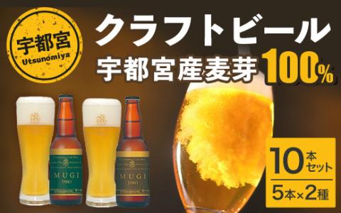 宇都宮 クラフトビール 宇都宮産麦芽100%コンビ 10本セット(各330ml)【 ビール ギフト 飲み比べ 栃木県 宇都宮市 】※離島への配送不可