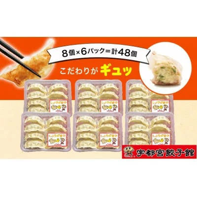 「宇都宮餃子館」のしょうが餃子 8個入り×6パック(計48個)