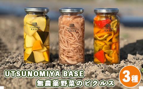 UTSUNOMIYA BASE無農薬野菜のピクルス[3種セット] ※着日指定不可