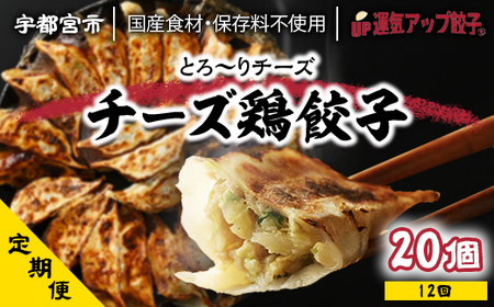 『定期便』宇都宮餃子 チーズ鶏餃子20個 保存料不使用全12回