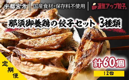 『定期便』宇都宮餃子 鶏餃子3種類味比べ(合計60個)保存料不使用 全12回