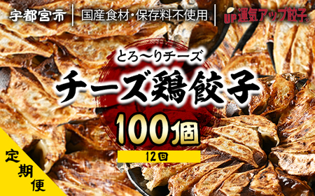 『定期便』宇都宮餃子 チーズ鶏餃子100個 全12回