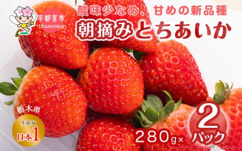 朝摘み とちあいか 2パックセット ※離島への配送不可 ※2025年1月〜3月頃に順次発送予定