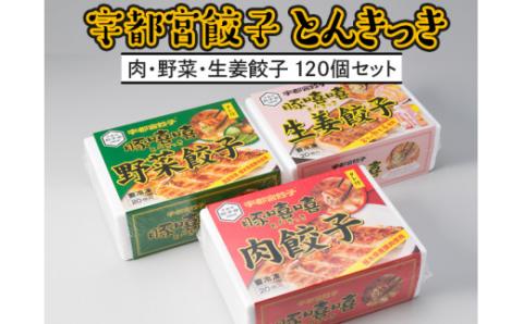 [120個]宇都宮餃子とんきっき 20個入り肉・野菜・生姜餃子120個セット ※着日指定不可